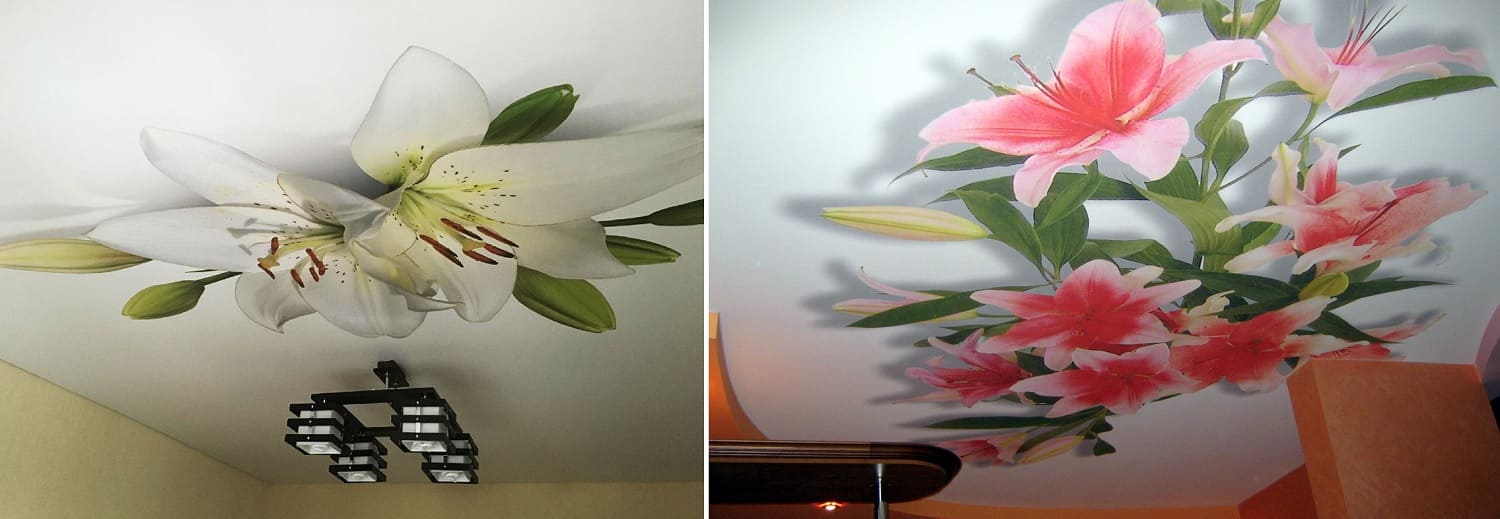 Купить натяжной потолок с цветами установкой профессиональными монтажниками компании Alezi: розы, орхидеи, сирень, лилии, сакура, соцветия и листья