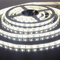 Светодиодная лента 5050/60 LED 14.4W IP65 [белая подложка] белый свет