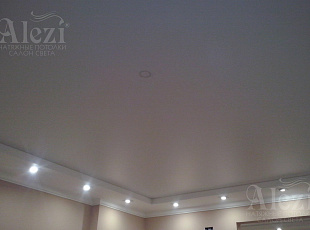Белый матовый натяжной потолок в зал с точечными светильниками