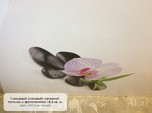 Лаковый натяжной потолок с фотопечатью (орхидея) от "Алези"
