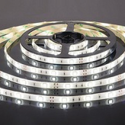 Светодиодная лента 5050/30 LED 7.2W IP65 [белая подложка] белый свет